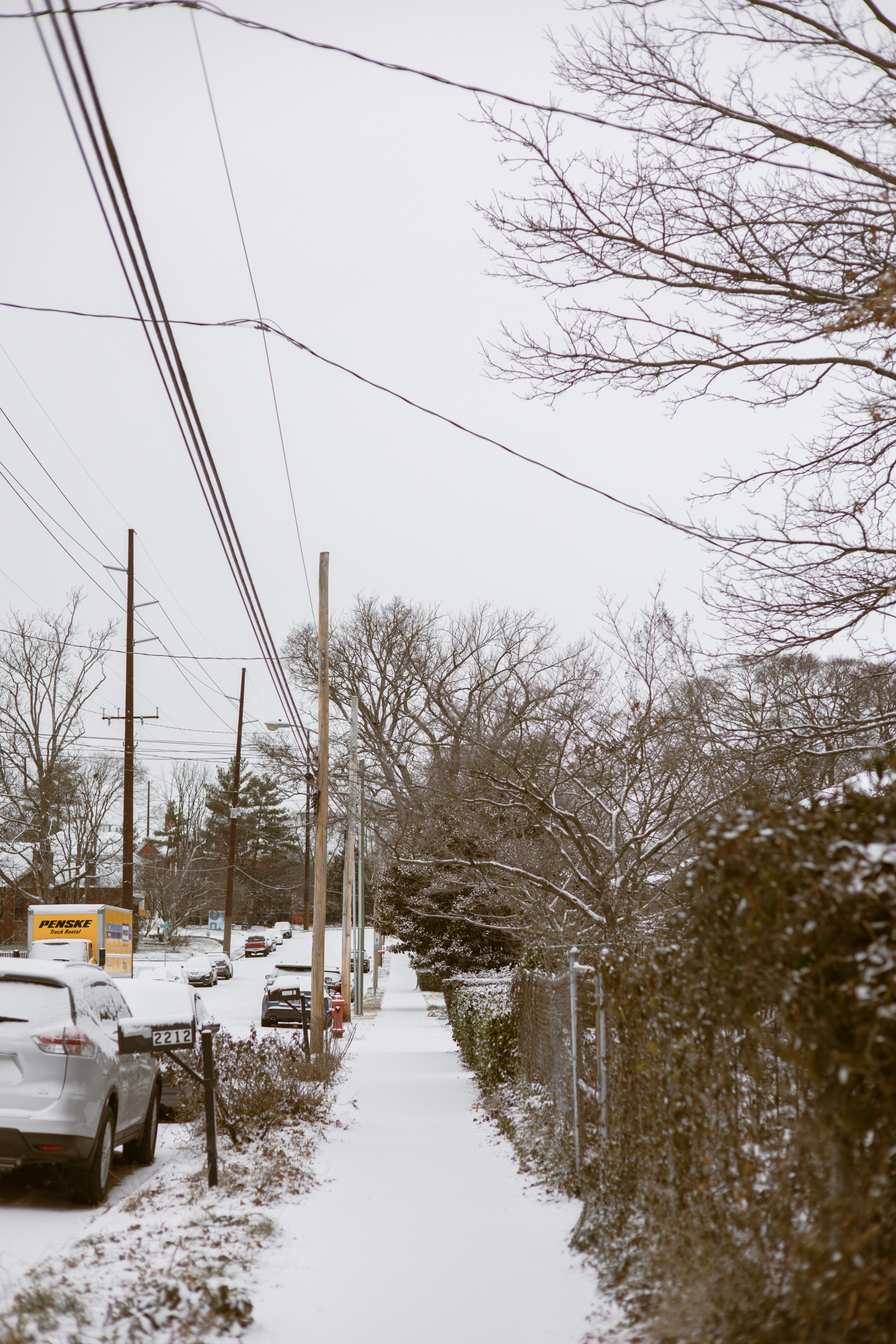 Photo by joshwithers