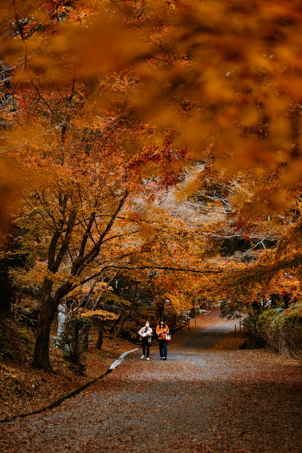 two people walking down a path in the fall