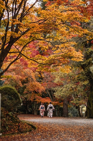 two people walking down a leaf covered path