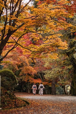 two people walking down a leaf covered path