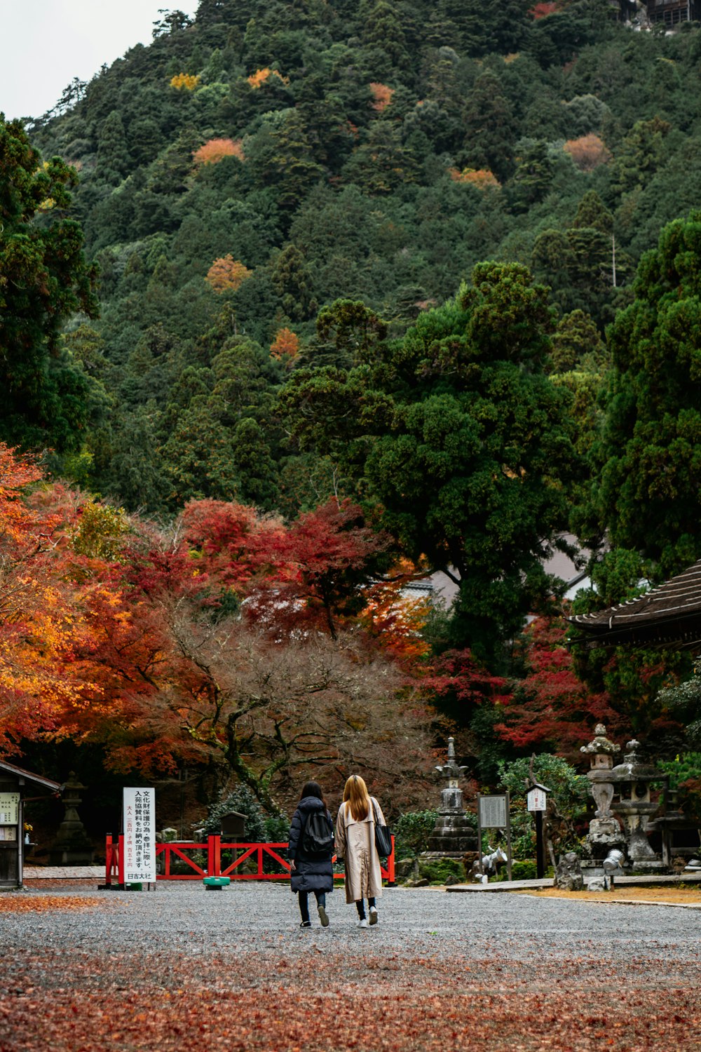 a couple of people walking down a road