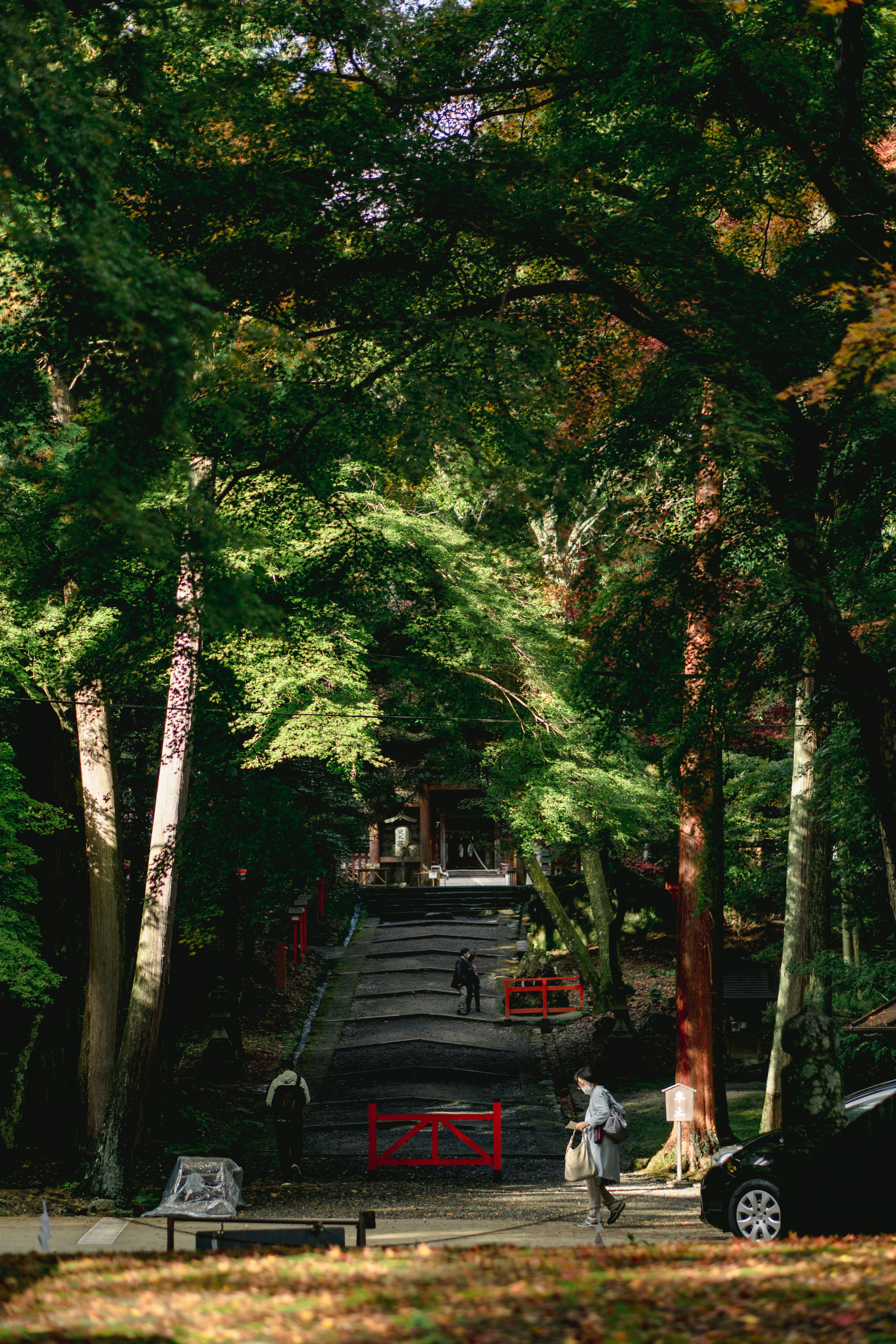 Photo by dianainjapan