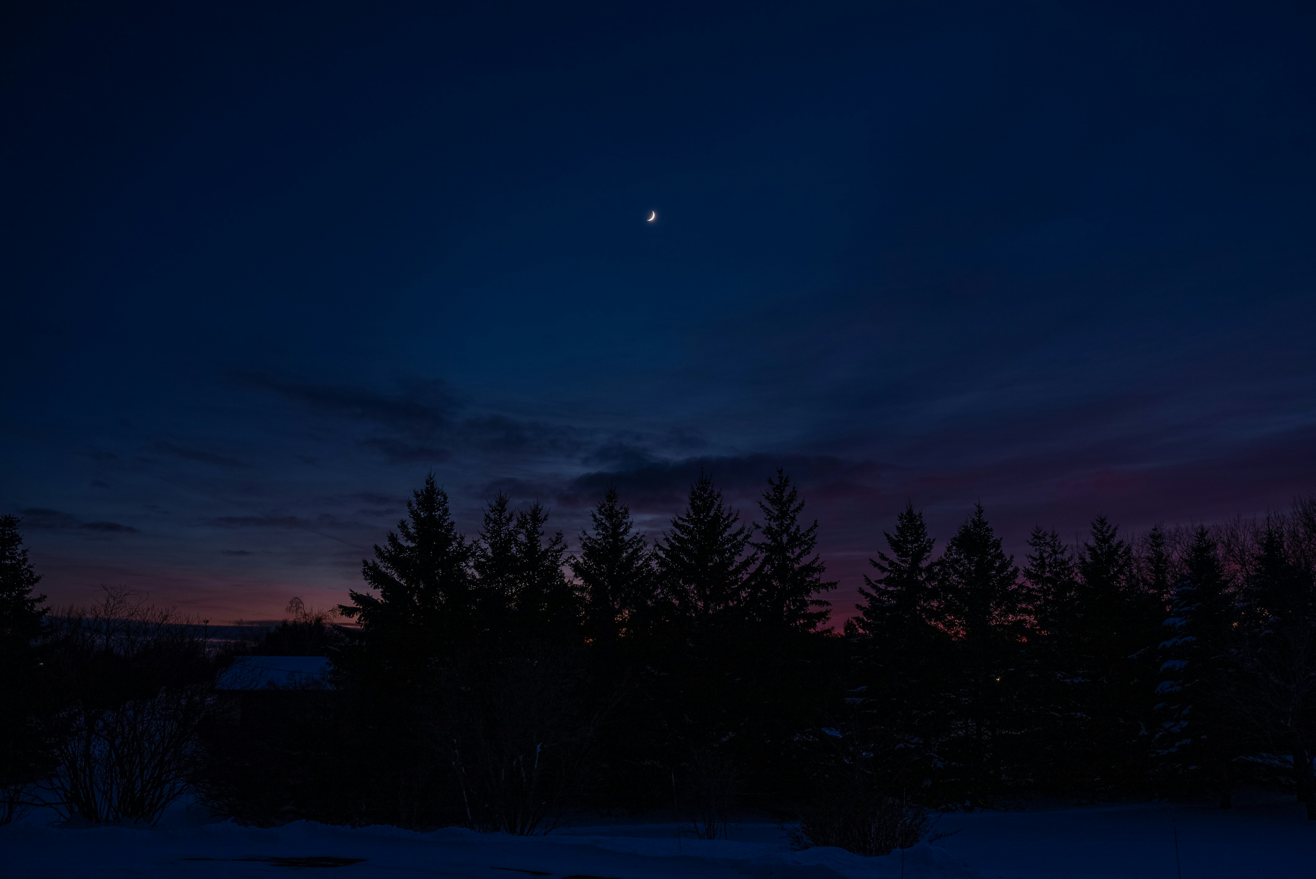a full moon is seen in the sky above some trees
