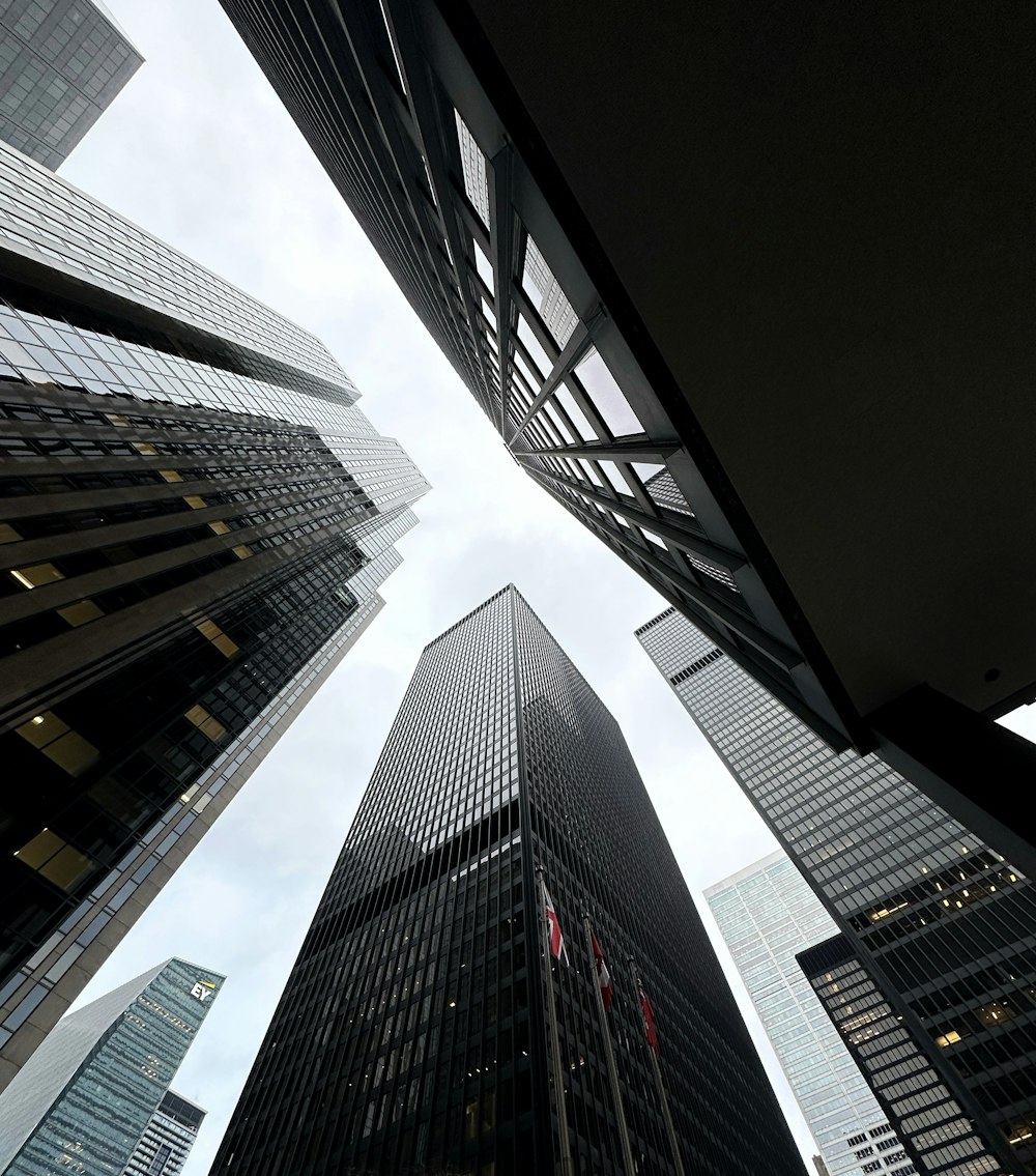 looking up at skyscrapers in a city