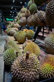 An assortment of durians with spiky shells arranged on the shelves of a market or store, with several rows extending into the background. The lighting highlights the texture and varied coloration of the fruit skins.