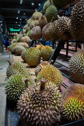 An assortment of durians with spiky shells arranged on the shelves of a market or store, with several rows extending into the background. The lighting highlights the texture and varied coloration of the fruit skins.