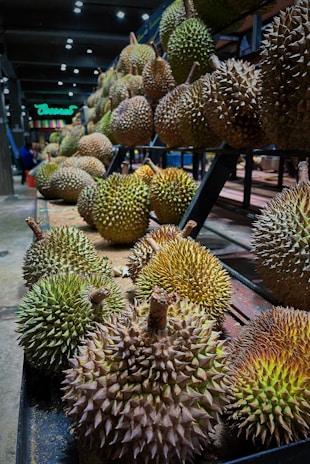 An assortment of durians with spiky shells arranged on the shelves of a market or store, with several rows extending into the background. The lighting highlights the texture and varied coloration of the fruit skins.