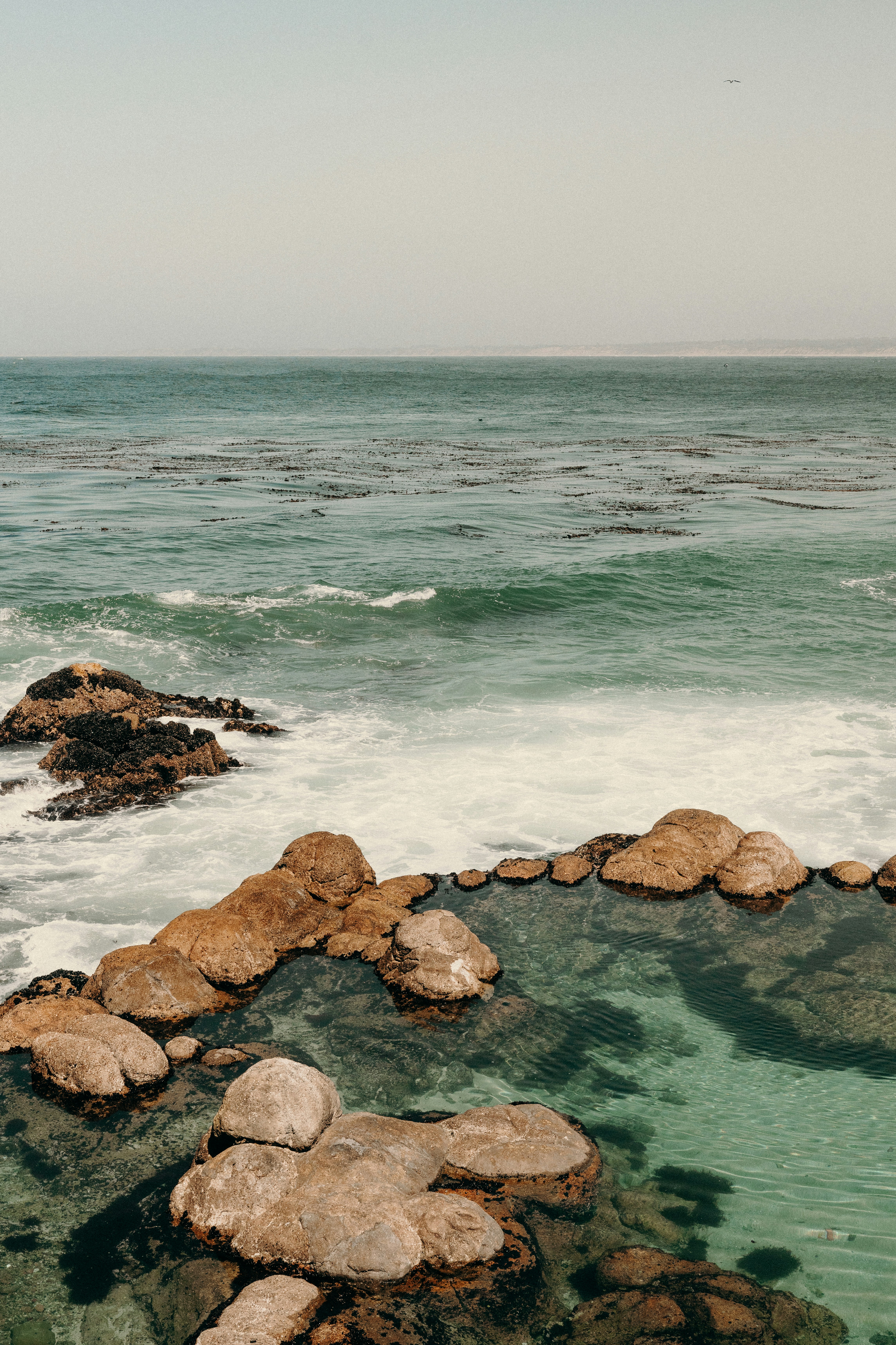 Photo by matthewjungling