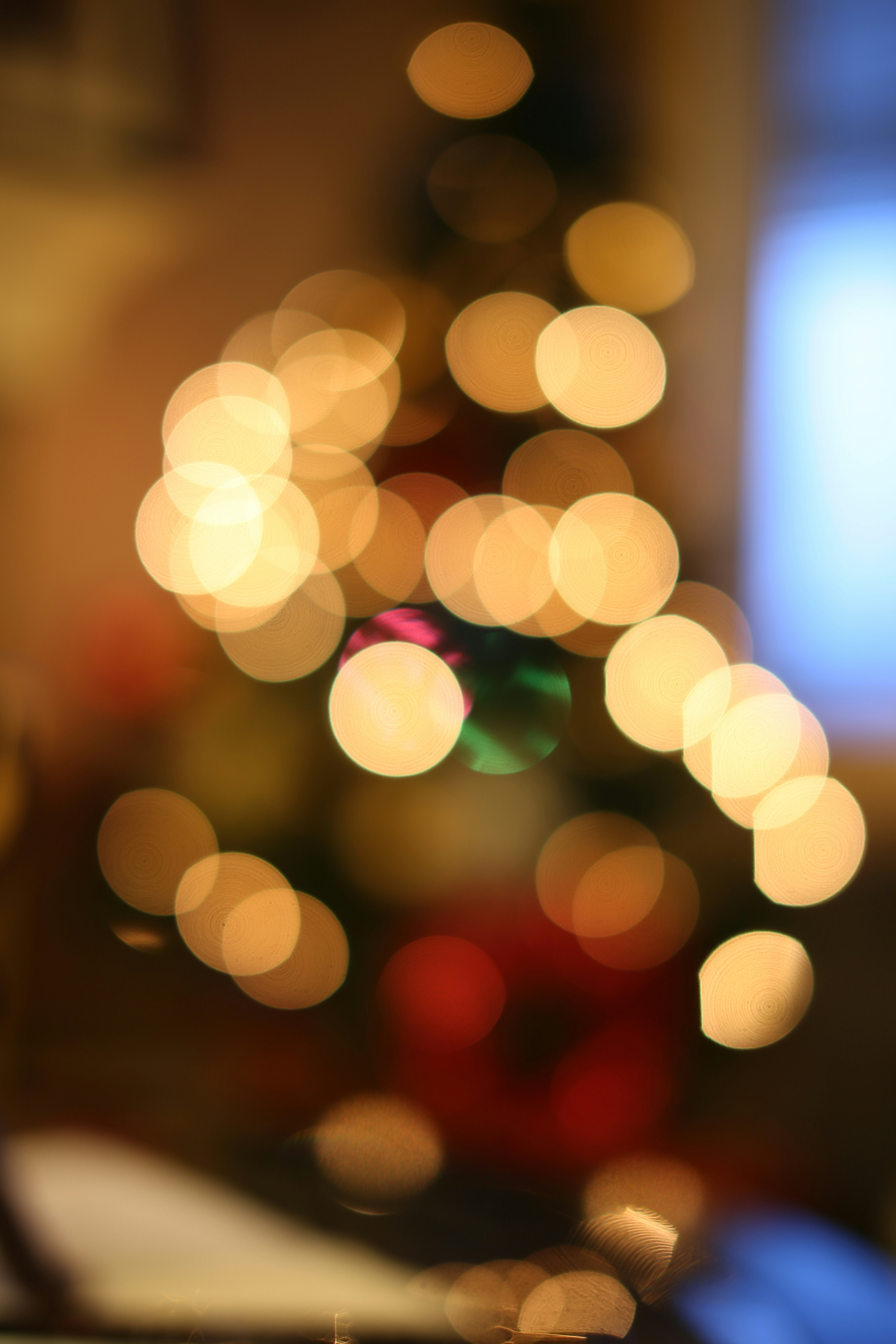 Photo by richmondarcher