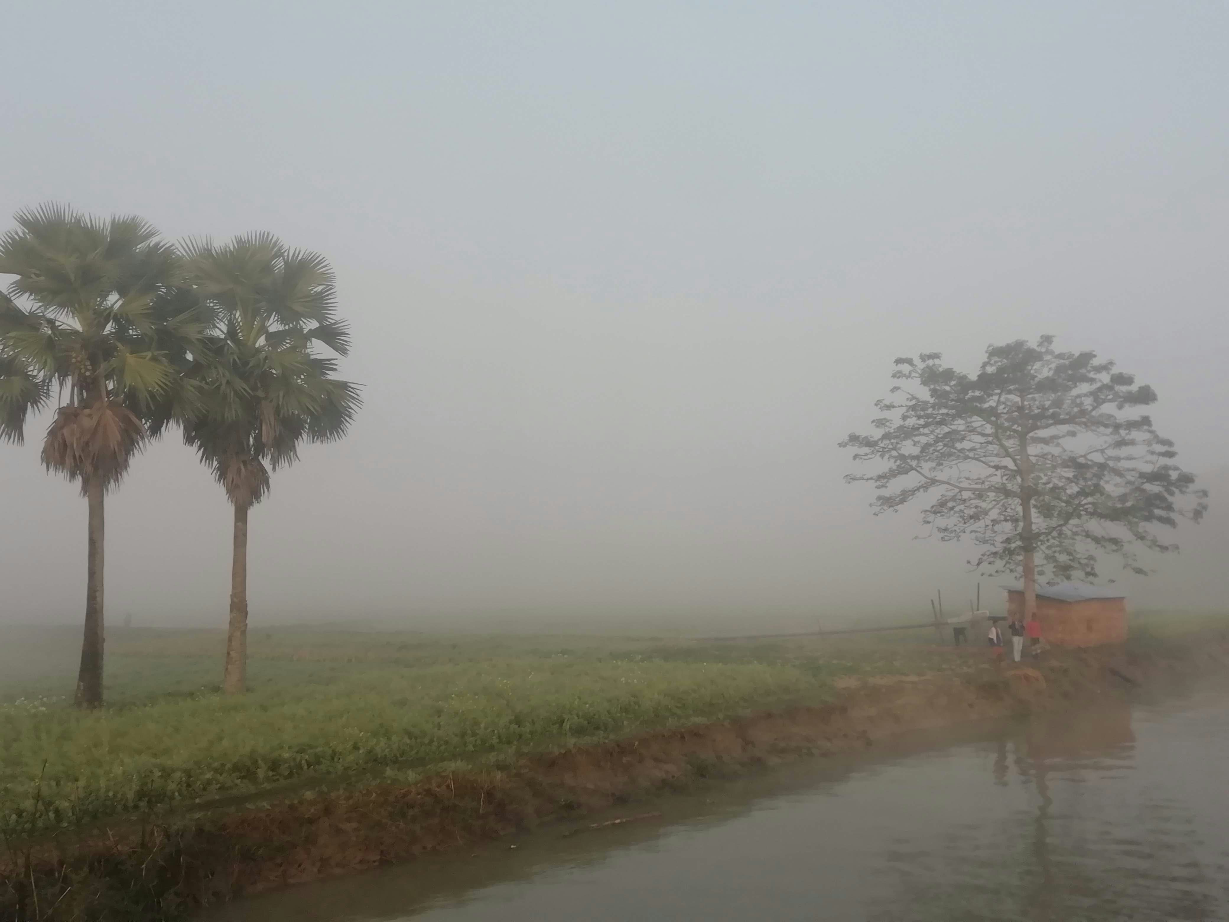 Navigating the Water Transport Systems in Barishal