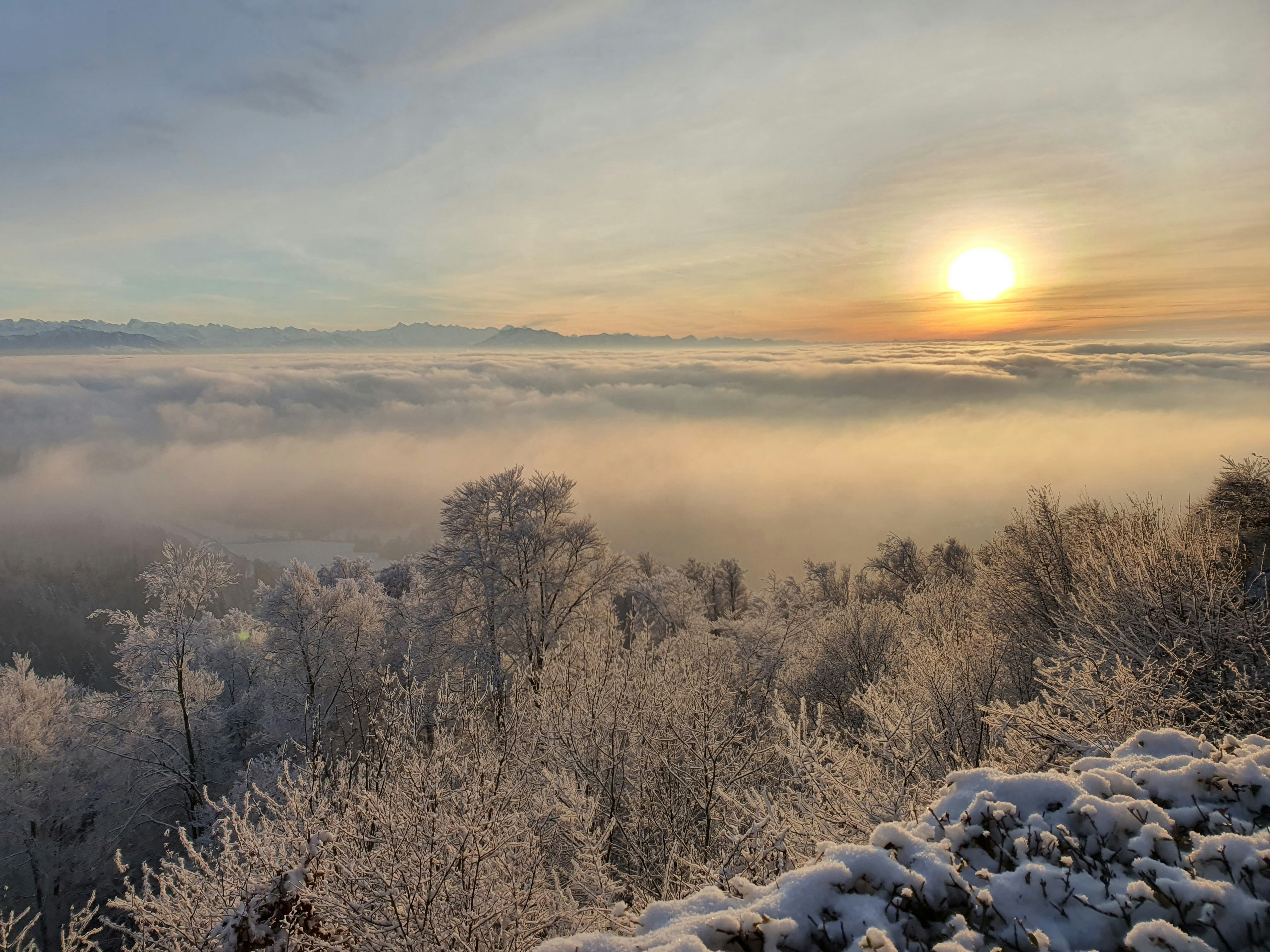 the sun is setting over a foggy forest, View from Uetliberg with fog & mountains & sunset
