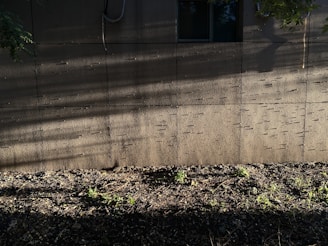 Exterior wall coated with textured resin finish under natural sunlight.