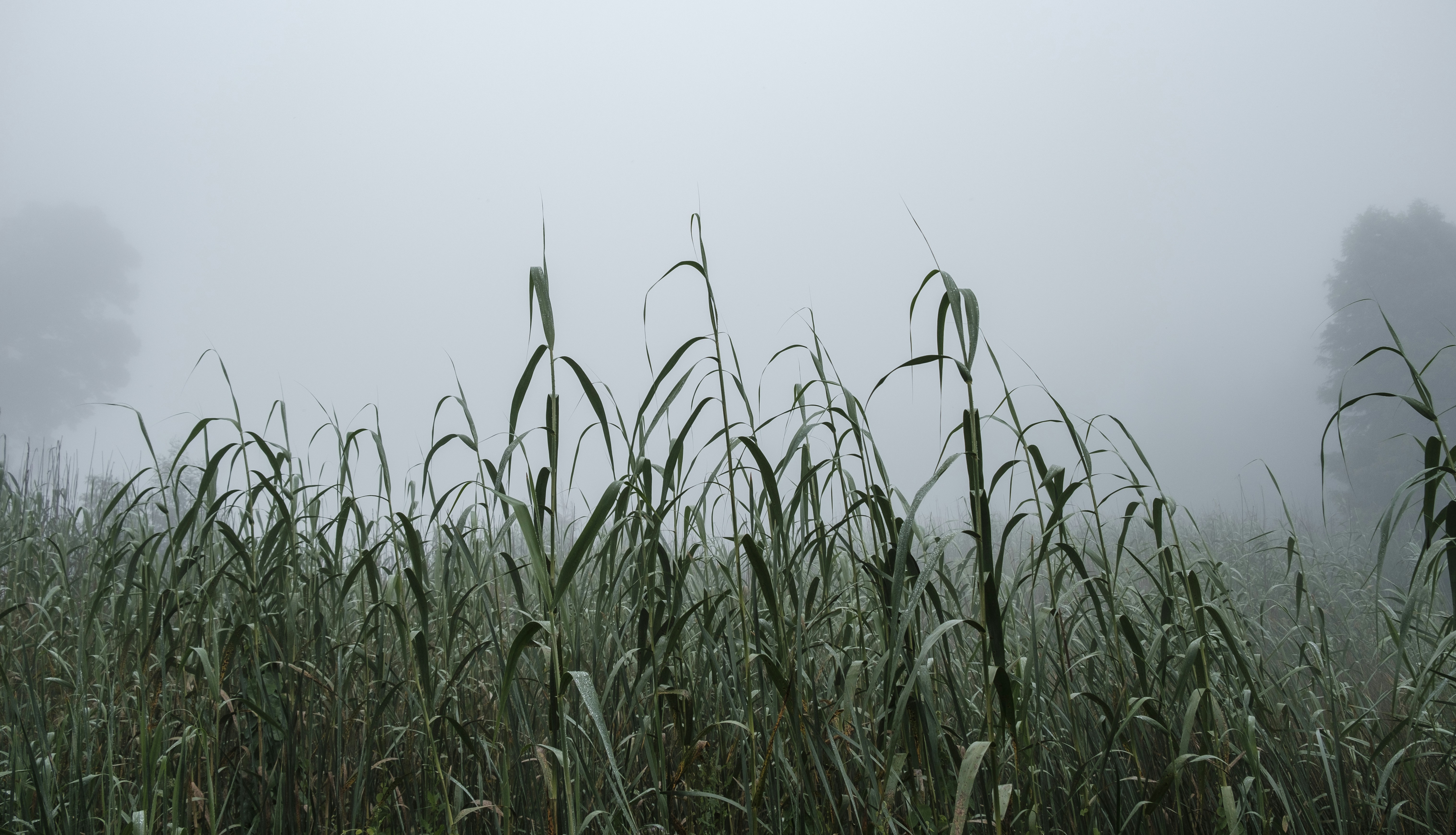 Photo by dylanposselt