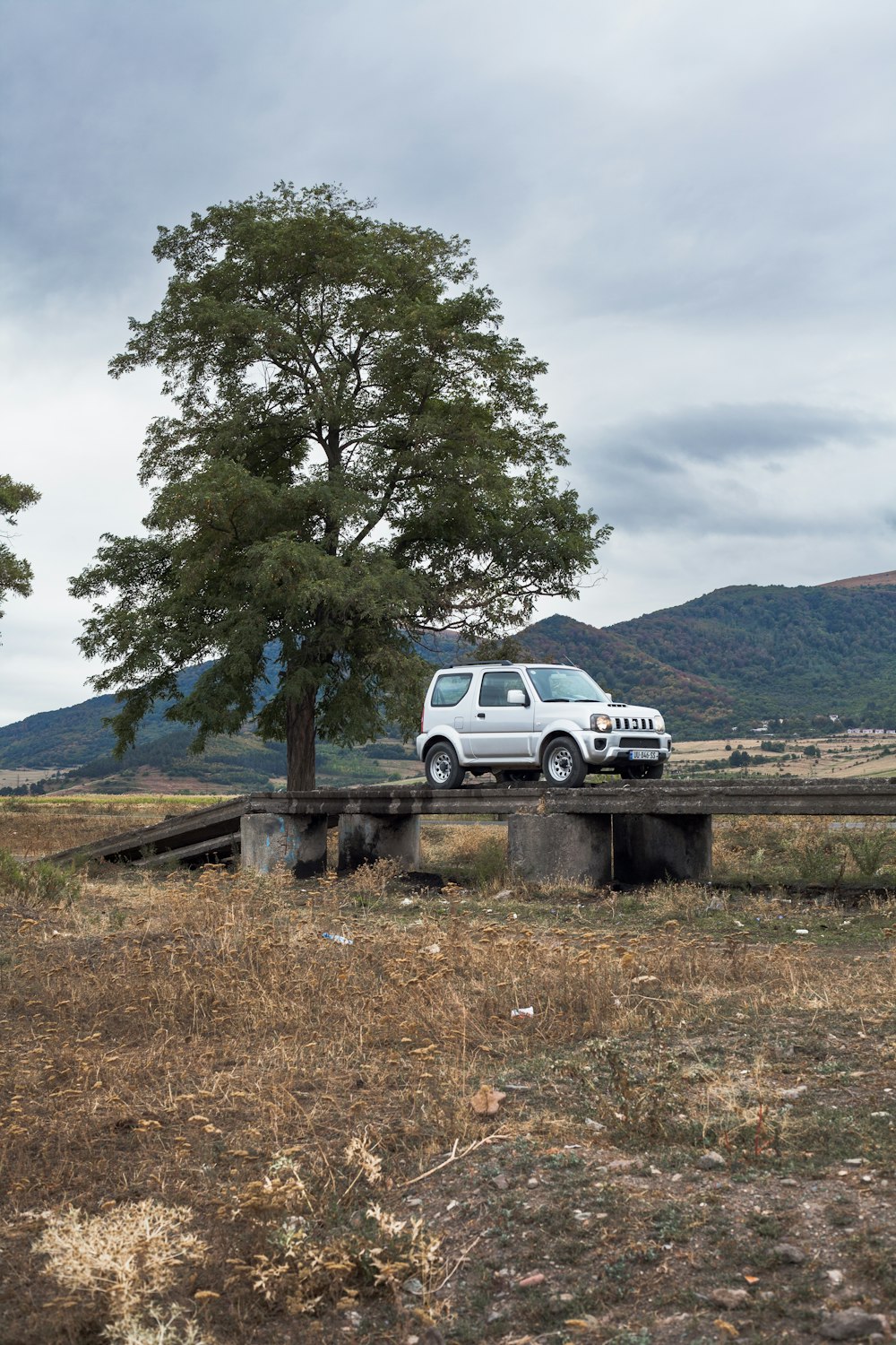 a white van parked next to a tree in a field