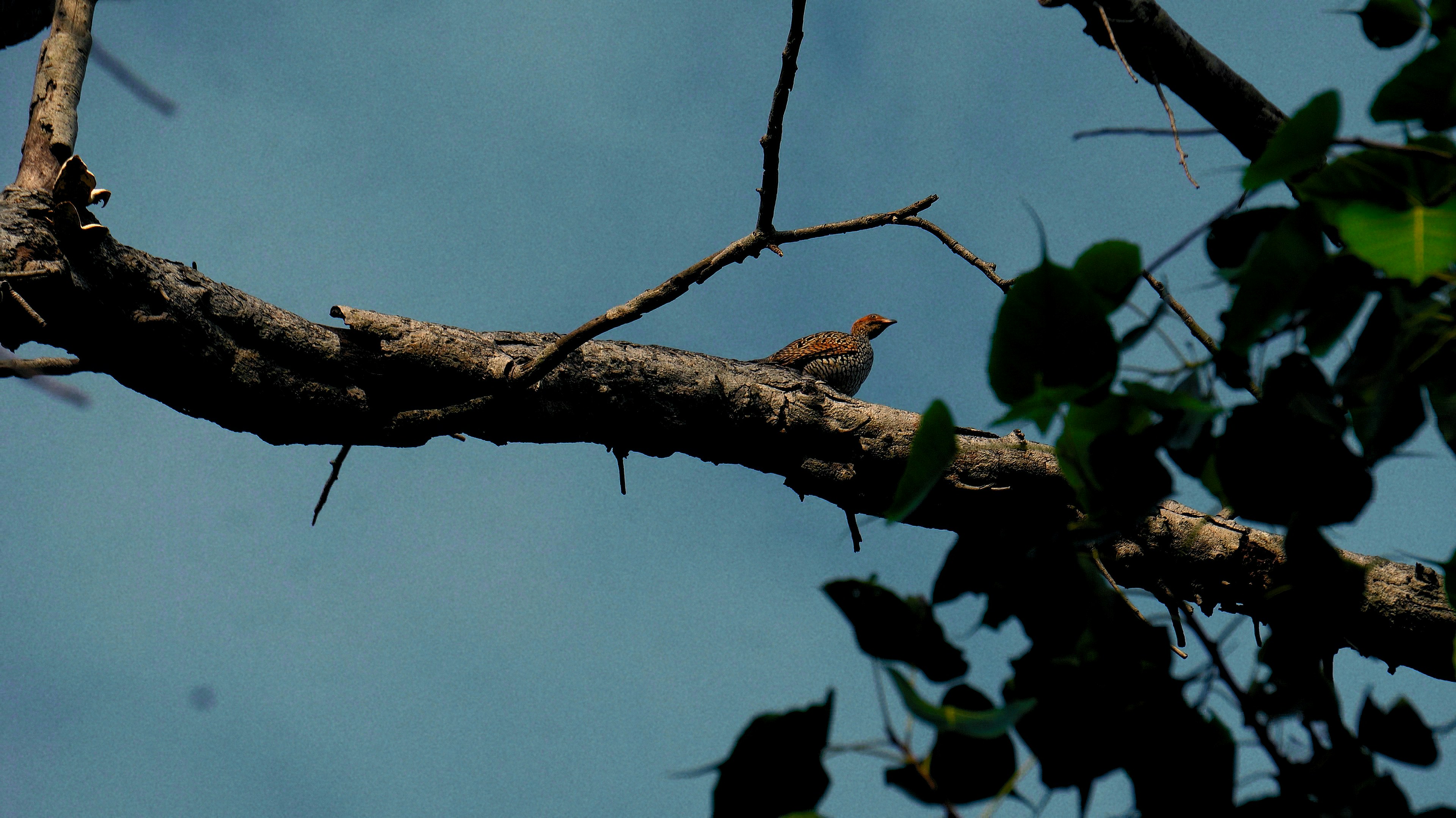 Photo by tarun_dhanraj_