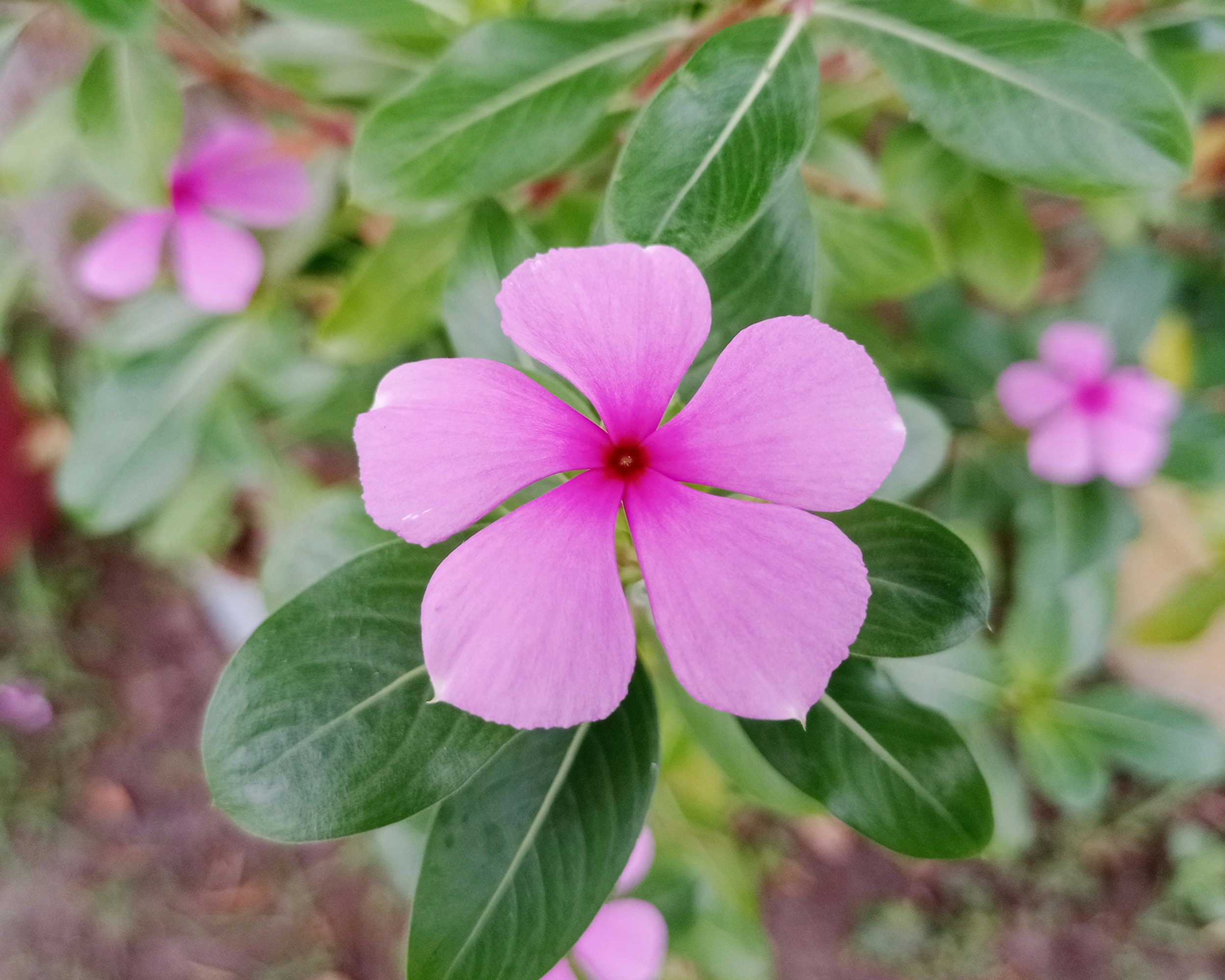 Photo by arkan_maker