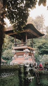 A traditional Balinese structure with an ornate, carved roof situated amidst lush green foliage. The building features intricate woodwork and a stone base, showcasing cultural architectural details. A wooden ladder leans against the structure, and the surrounding area is rich with tropical plants and trees.