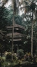 A traditional house is nestled amidst towering palm trees and lush greenery, with dense foliage surrounding the structure, creating a serene and secluded atmosphere.