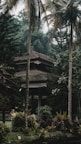 A traditional house is nestled amidst towering palm trees and lush greenery, with dense foliage surrounding the structure, creating a serene and secluded atmosphere.