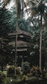 A cozy, stylish bungalow surrounded by lush greenery and tropical plants.