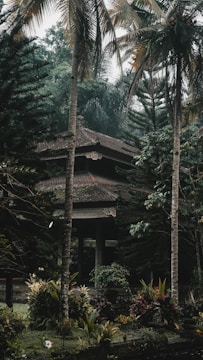 A traditional house is nestled amidst towering palm trees and lush greenery, with dense foliage surrounding the structure, creating a serene and secluded atmosphere.