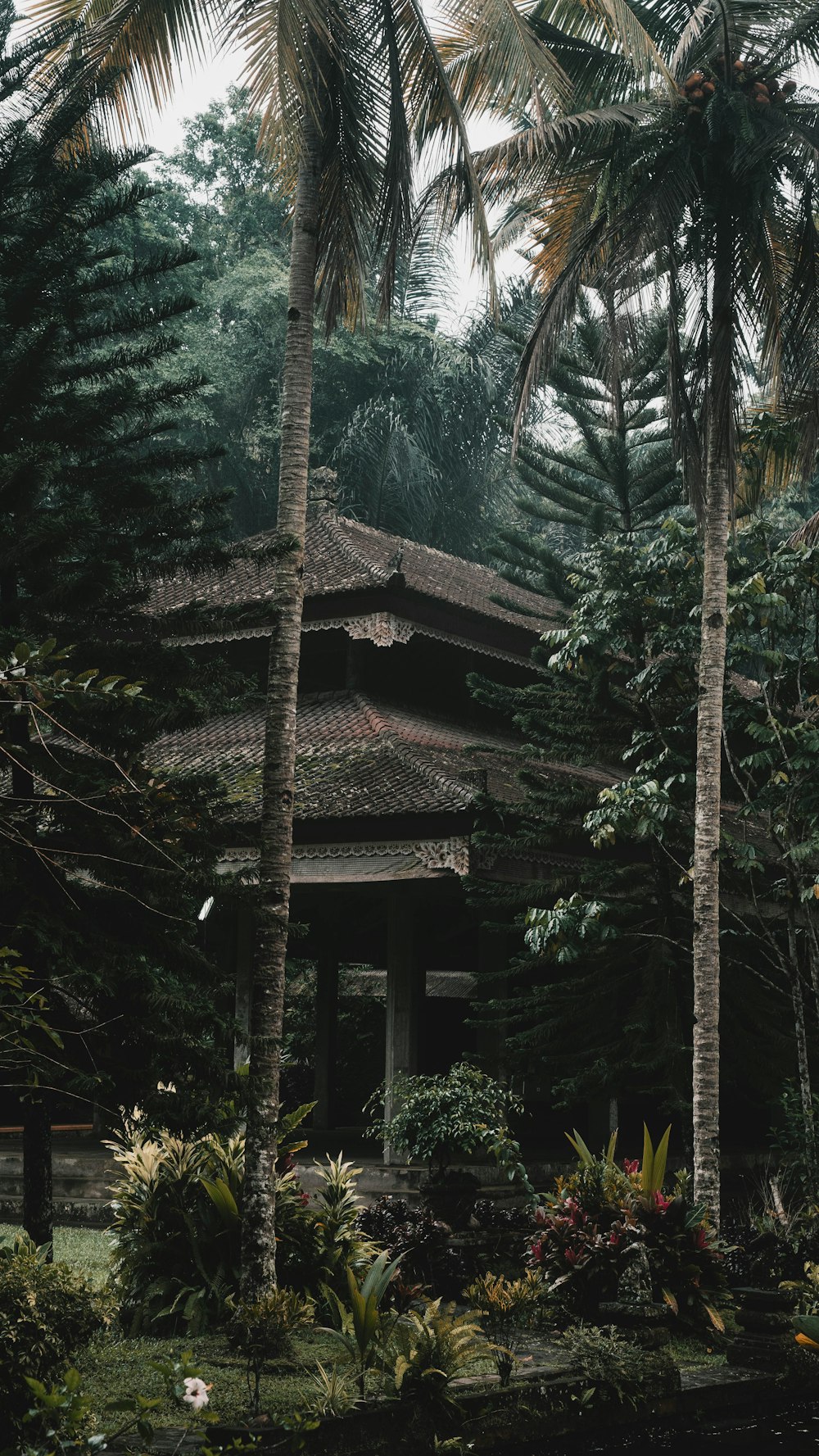 a small wooden structure surrounded by palm trees