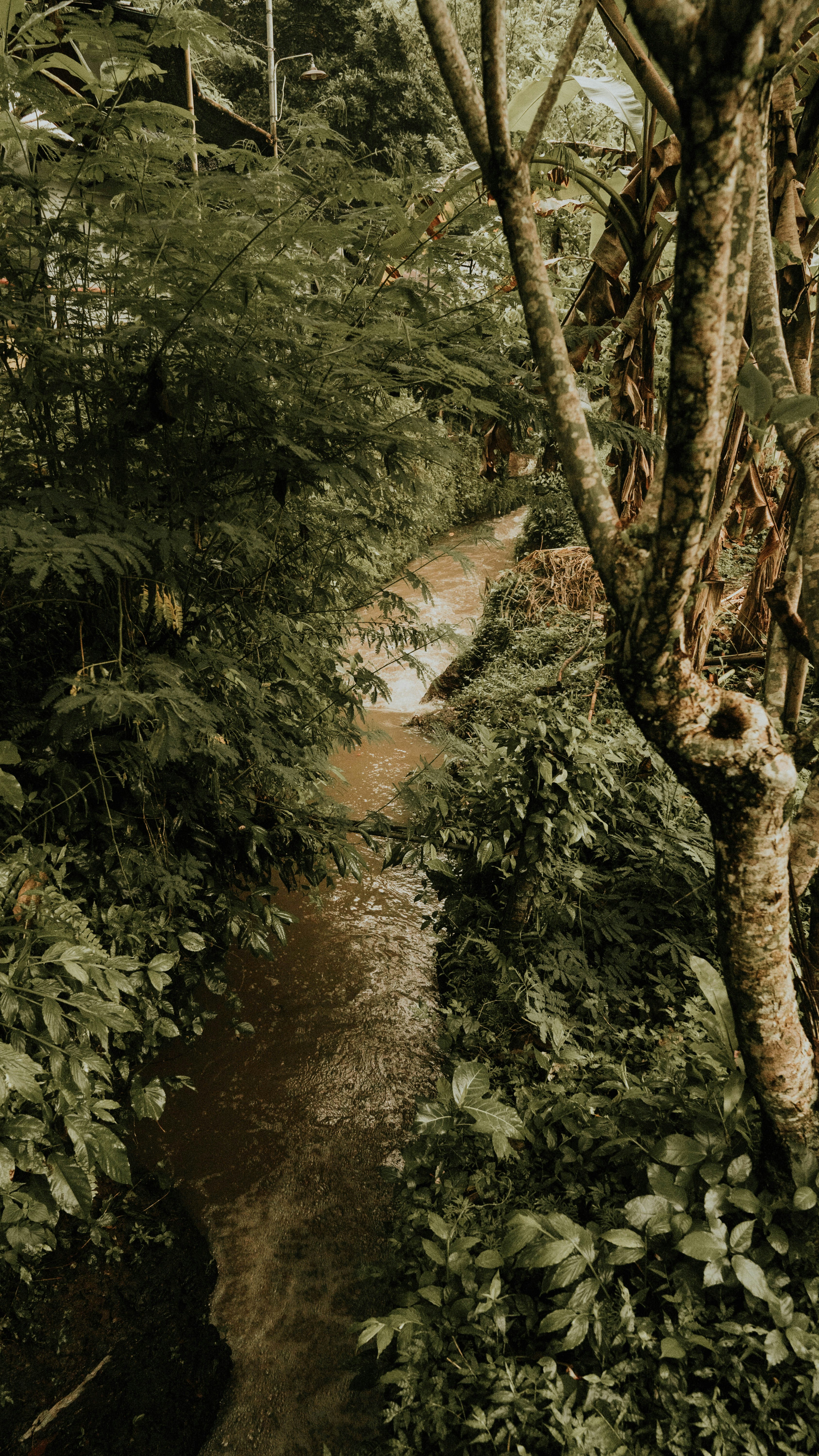 Photo by axcreativeagency