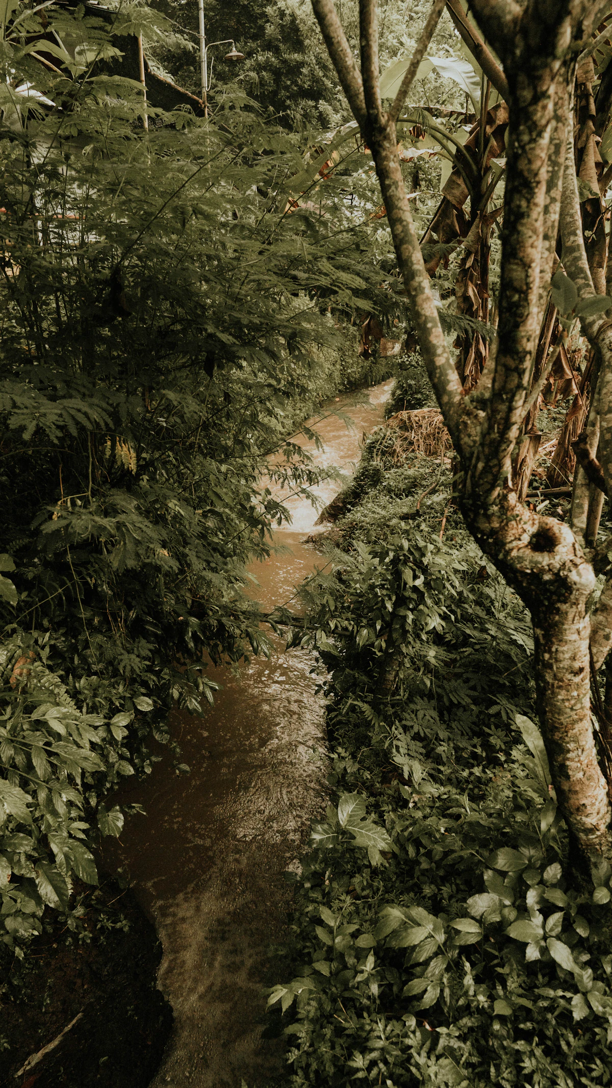 Ayung River Premium Whitewater Rafting with Gourmet Lunch