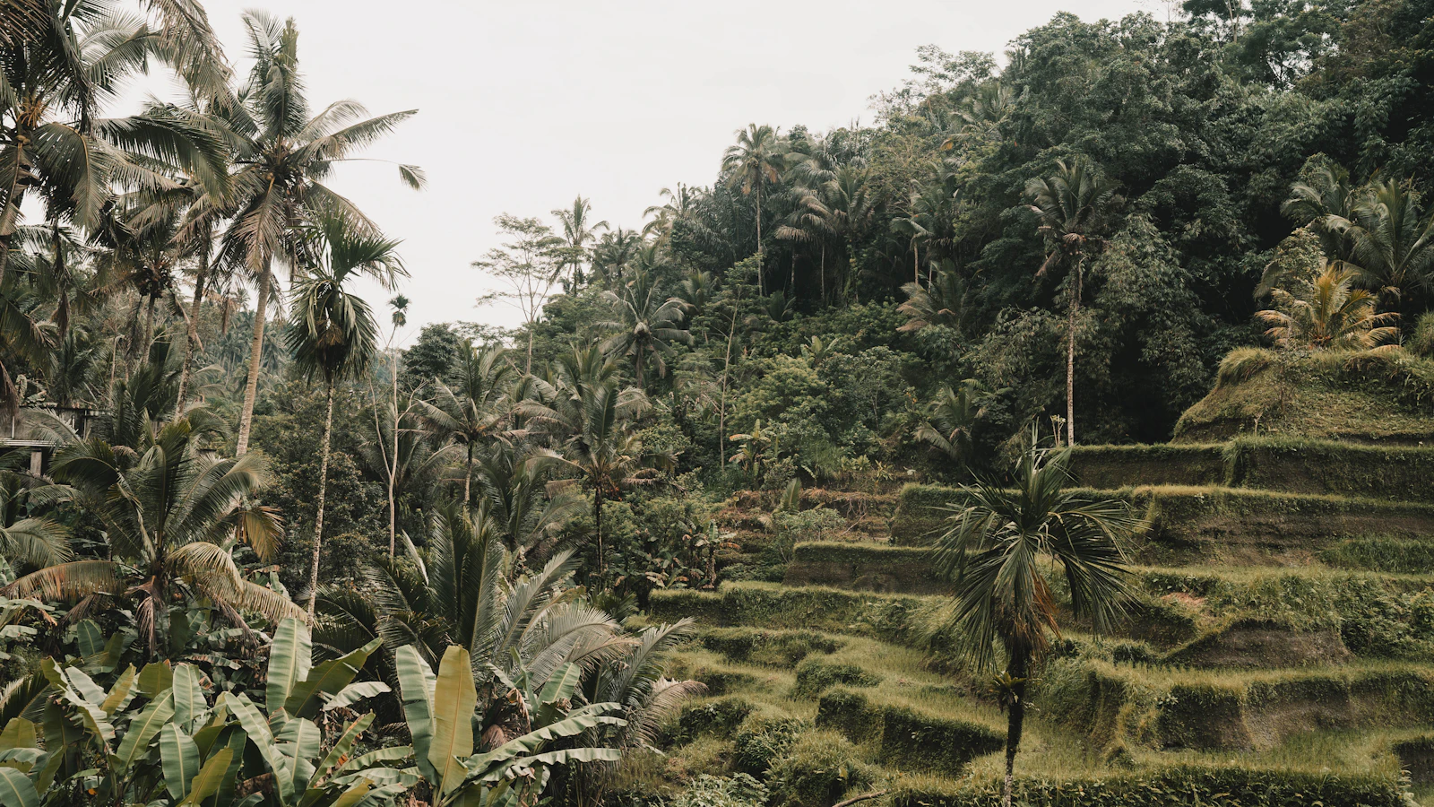 5-Day Dayak Longhouse Heritage & Mahakam River Houseboat Cruise