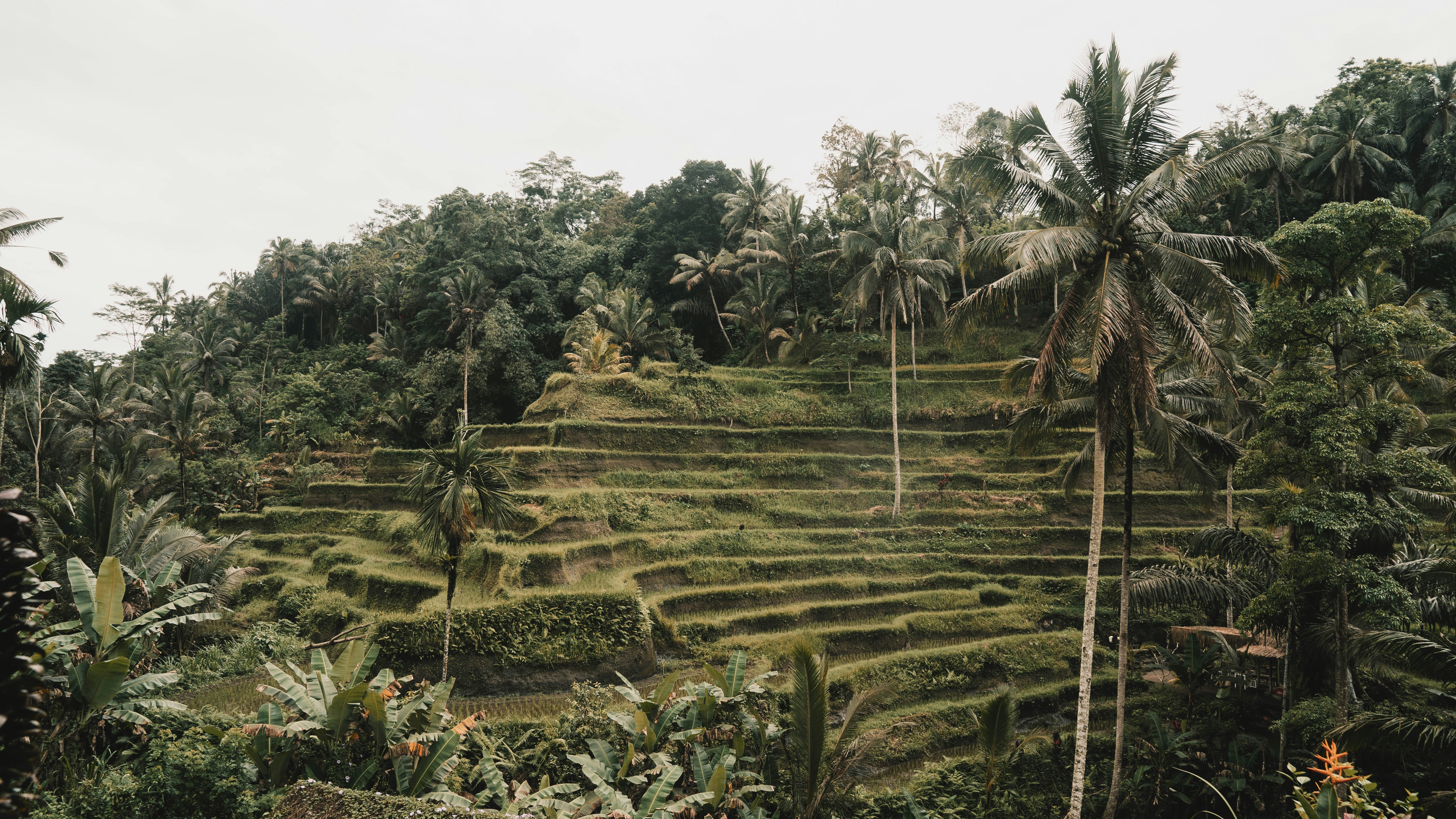 Photo by axcreativeagency