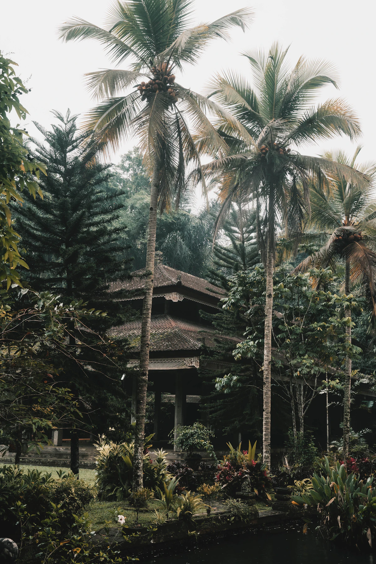 Ubud Cultural Heartland: Sacred Monkey Forest, Royal Palace & Tegalalang Terraces