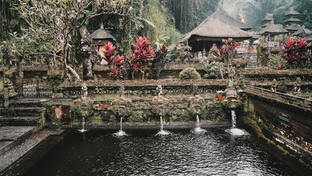 a pond with a bunch of water jets in it