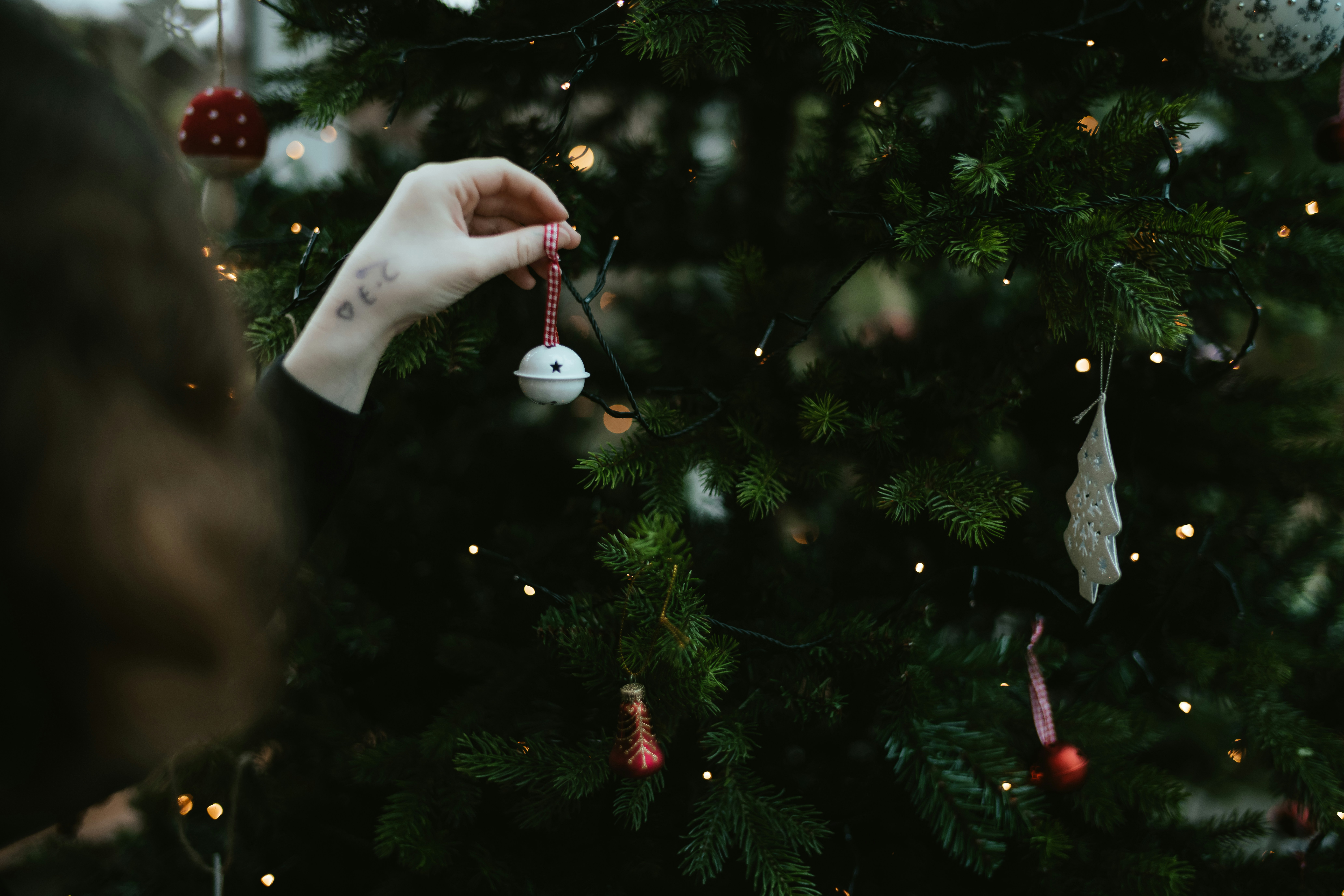 Photo by anniespratt