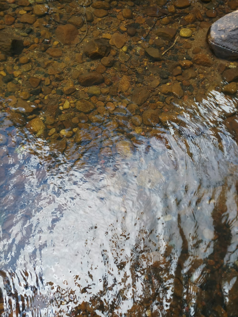 a bird is sitting on a rock in the water