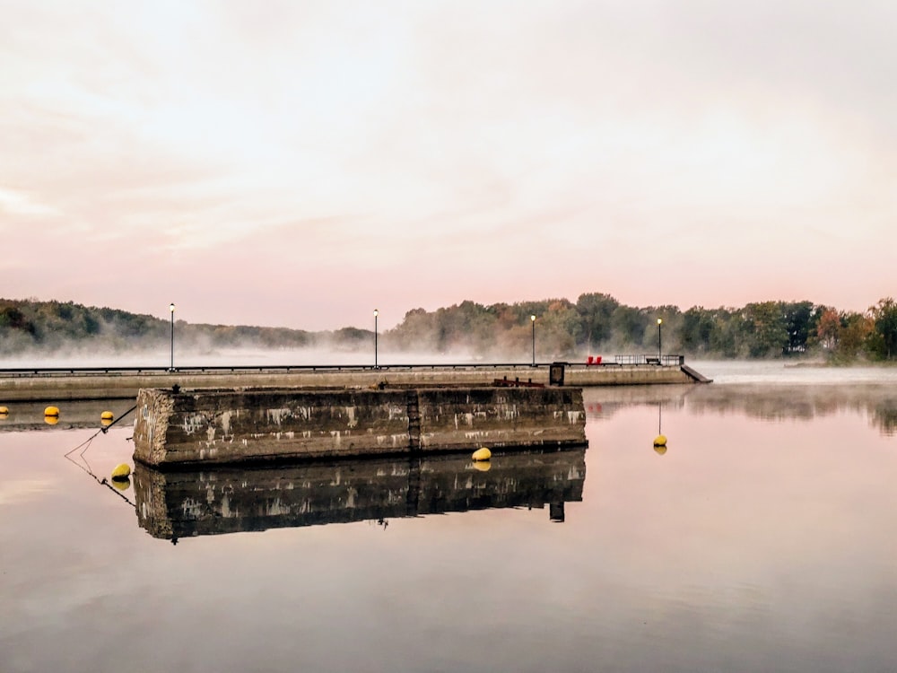 a body of water surrounded by trees and fog