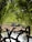 A serene natural scene featuring various animals by a water body, surrounded by lush greenery. A tall bird stands at the center, accompanied by smaller birds and grazing antelopes. Palm fronds create a natural frame, casting patterns of light and shadow over the scene.