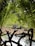 A serene natural scene featuring various animals by a water body, surrounded by lush greenery. A tall bird stands at the center, accompanied by smaller birds and grazing antelopes. Palm fronds create a natural frame, casting patterns of light and shadow over the scene.