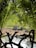 A serene natural scene featuring various animals by a water body, surrounded by lush greenery. A tall bird stands at the center, accompanied by smaller birds and grazing antelopes. Palm fronds create a natural frame, casting patterns of light and shadow over the scene.