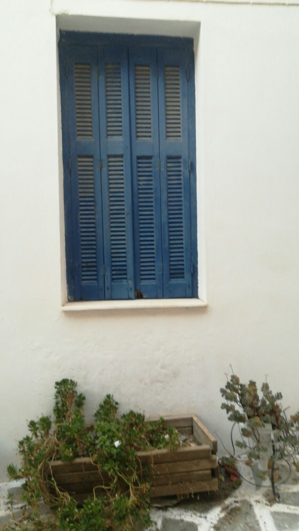 a window with blue shutters on a white building