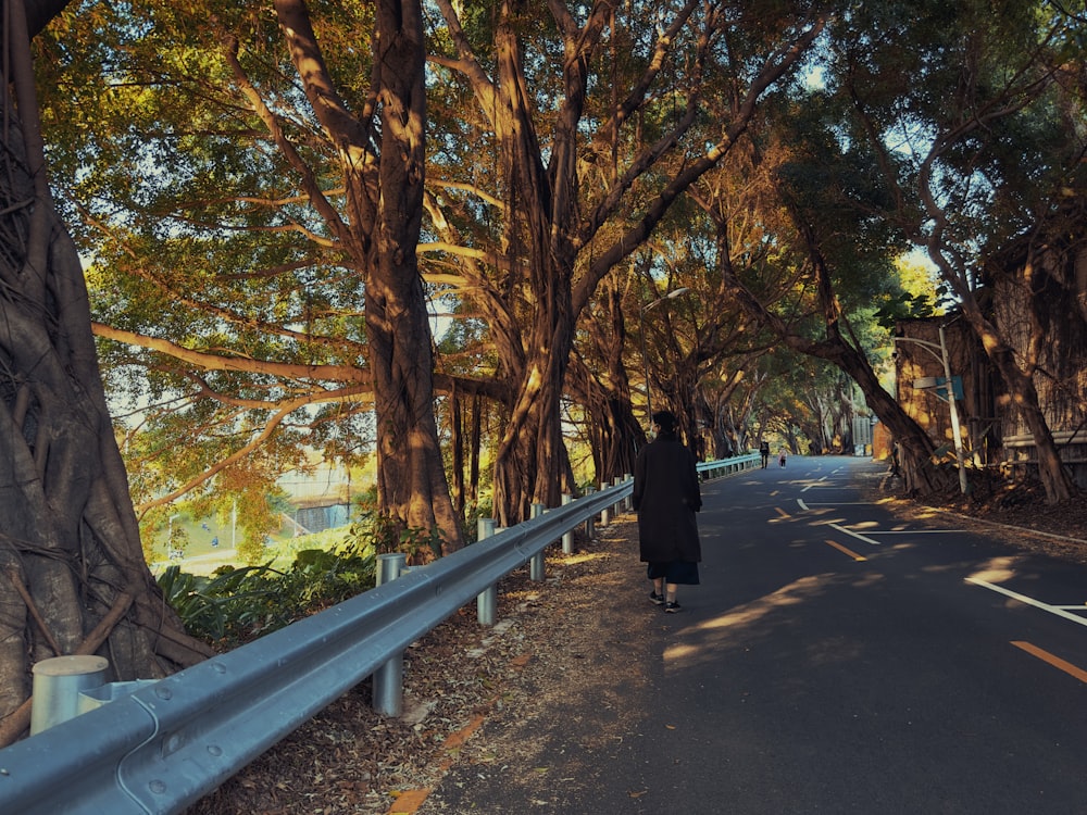 a person walking down a tree lined road
