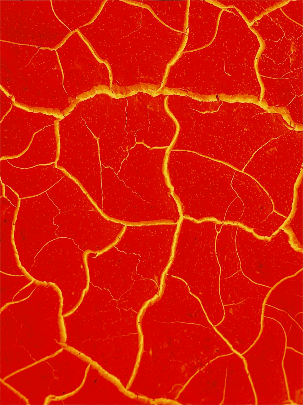 a close up of a red and yellow leaf