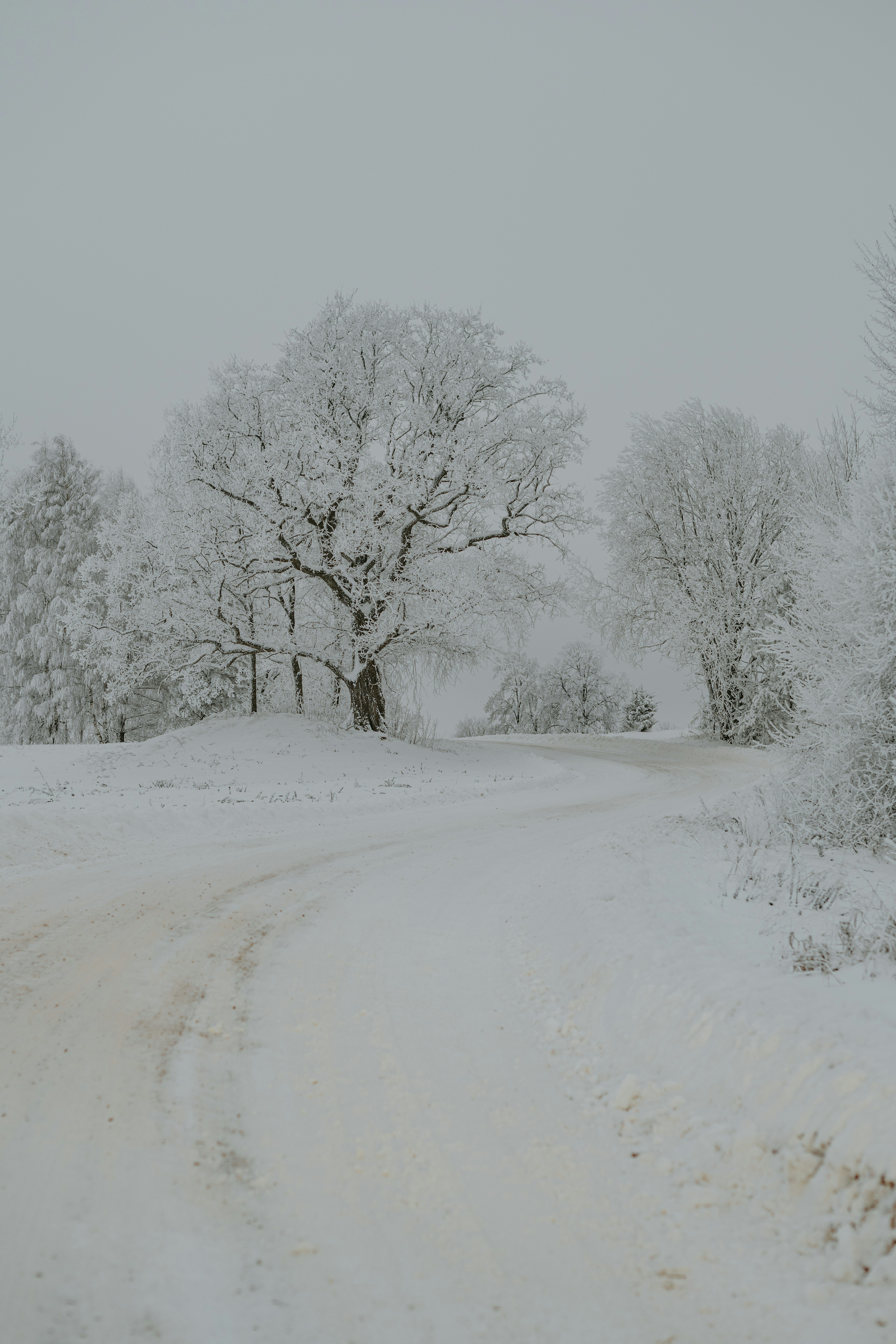 Photo by anitaaustvika