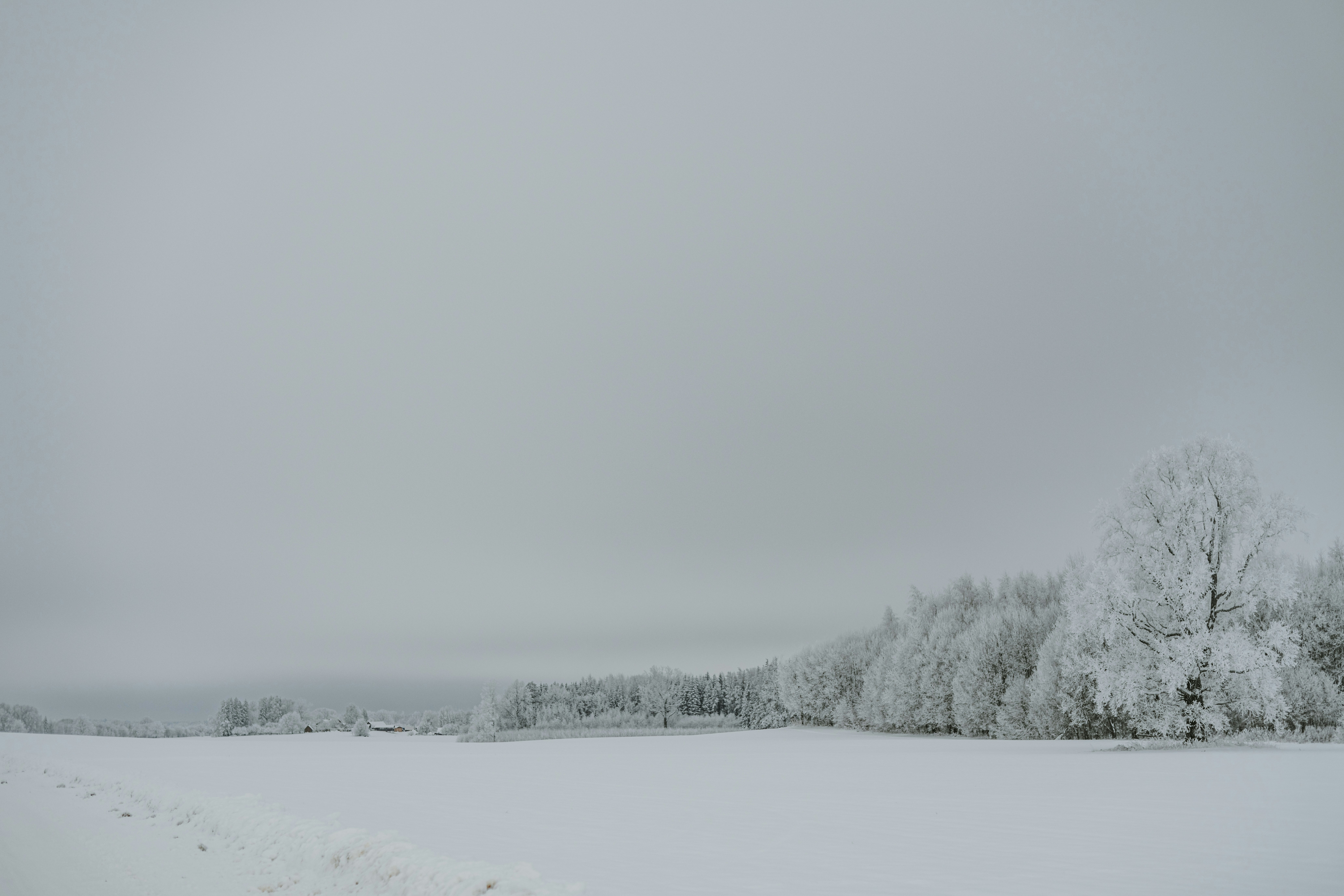 Photo by anitaaustvika