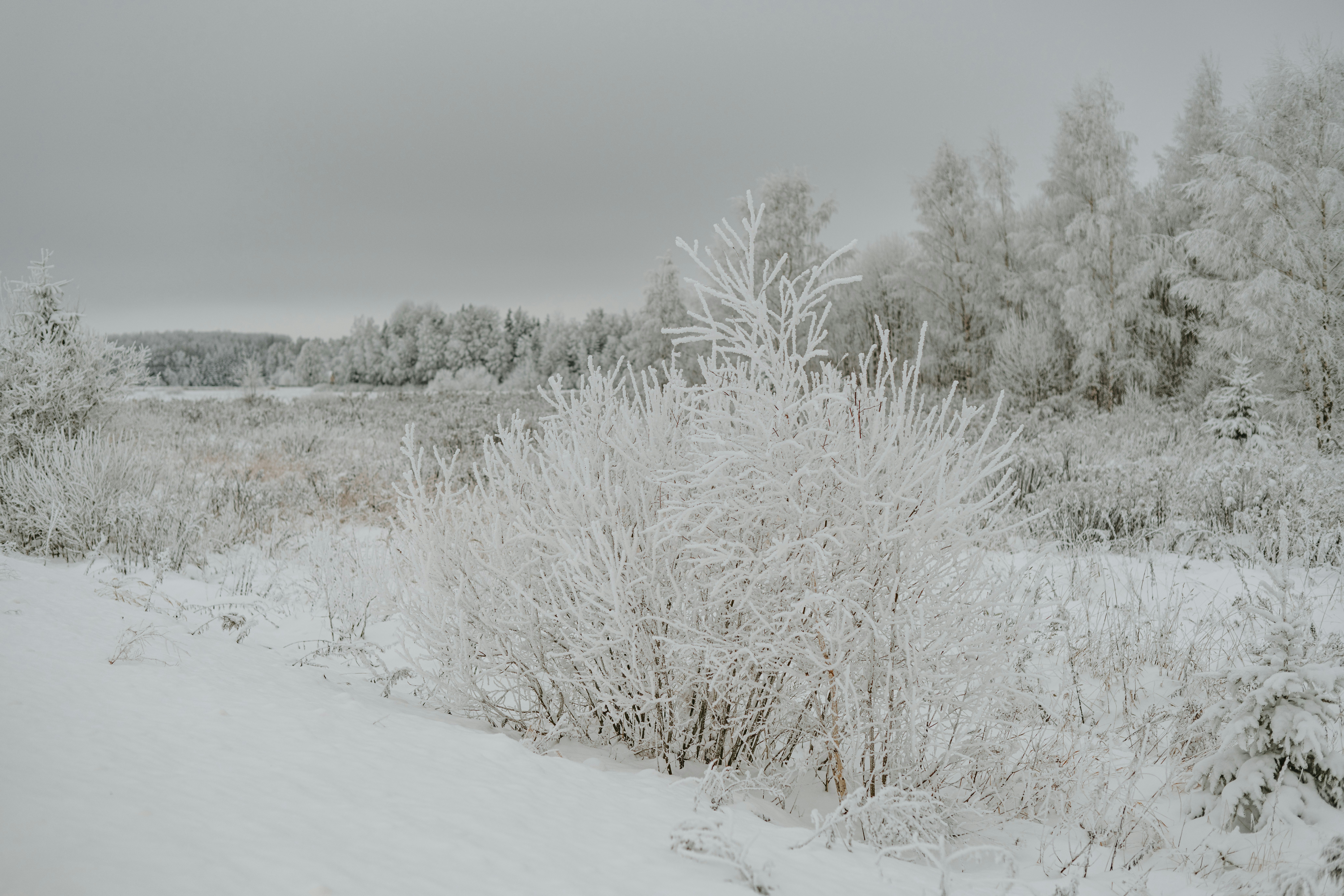 Photo by anitaaustvika