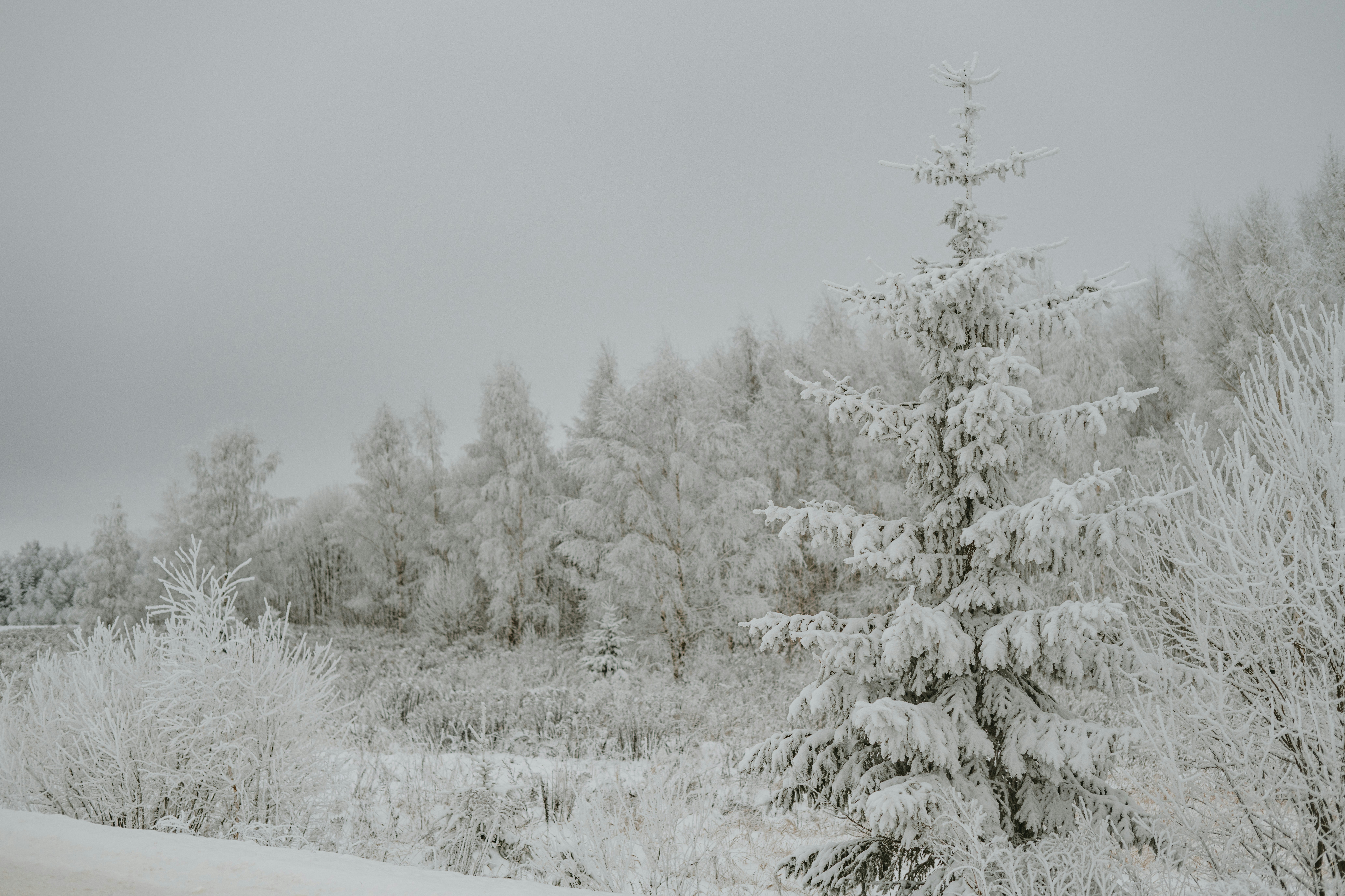 Photo by anitaaustvika