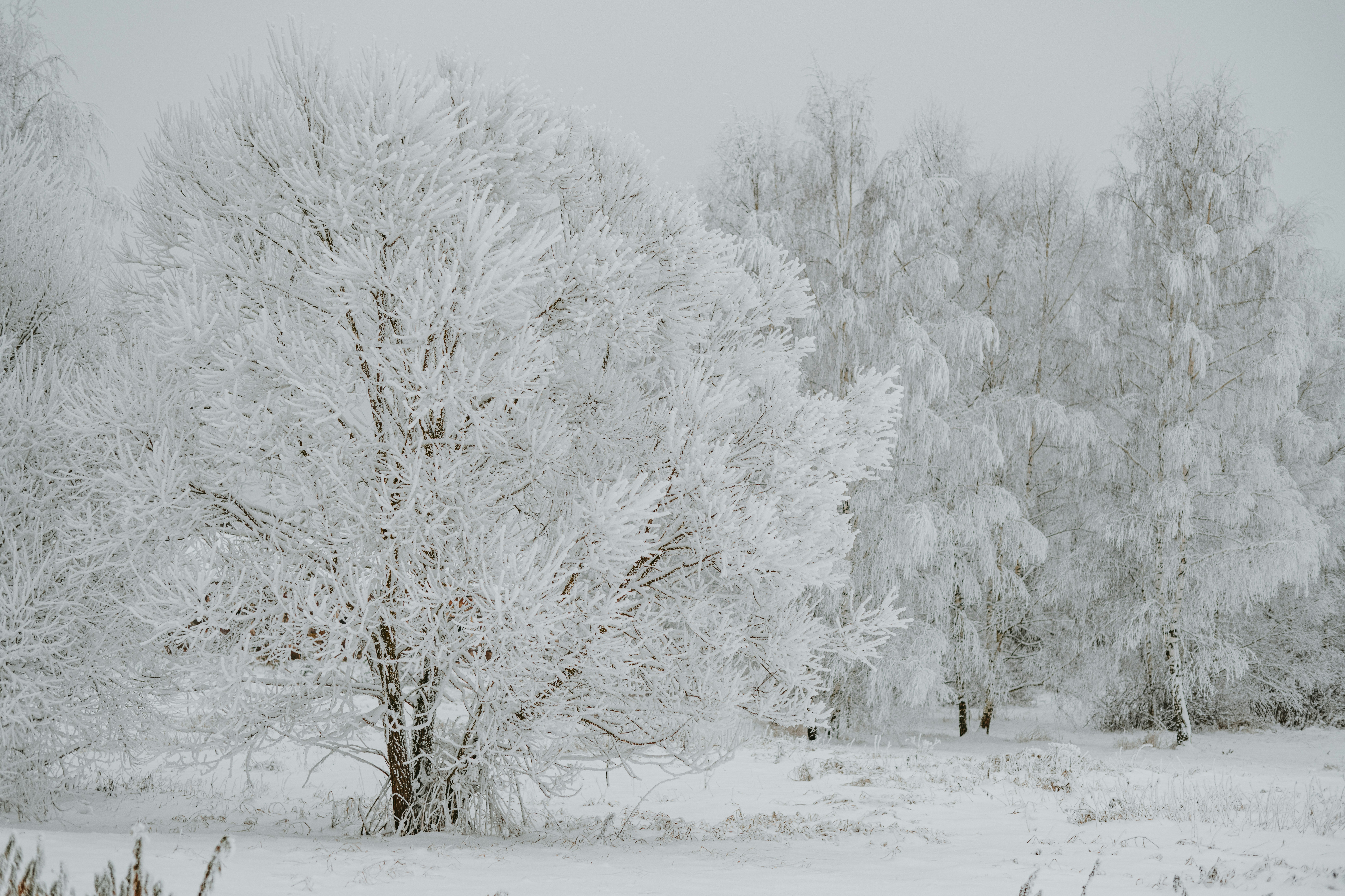 Photo by anitaaustvika