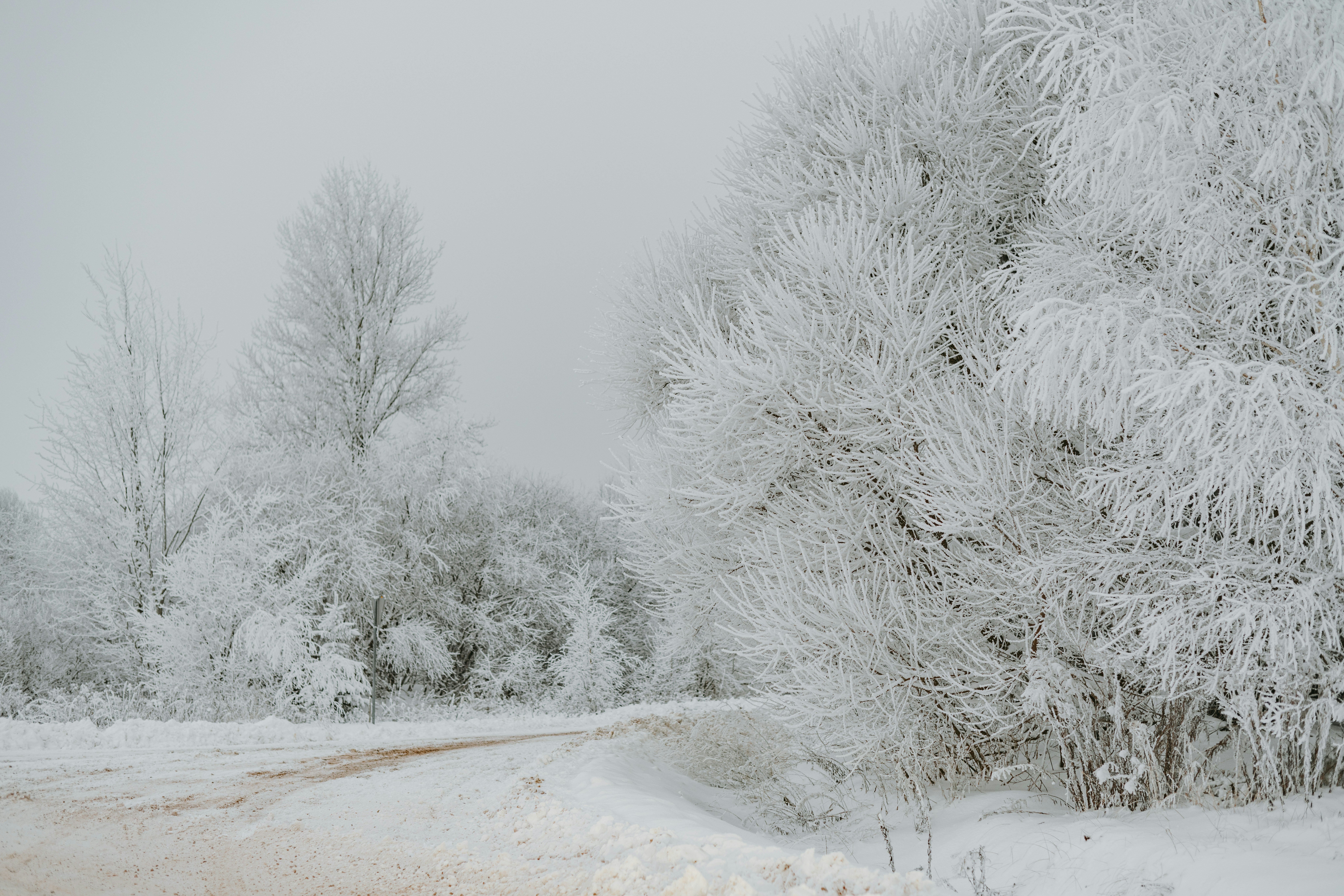 Photo by anitaaustvika