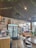A cozy cafe interior featuring a wooden floor, with decorative greenery and lights adorning the ceiling. A refrigerated display case showcases floral arrangements. To the side, there's a coffee counter with various syrups and a seating area with a tan couch and round tables. Large windows allow natural light to enter, and a shelf displays snacks and drinks.