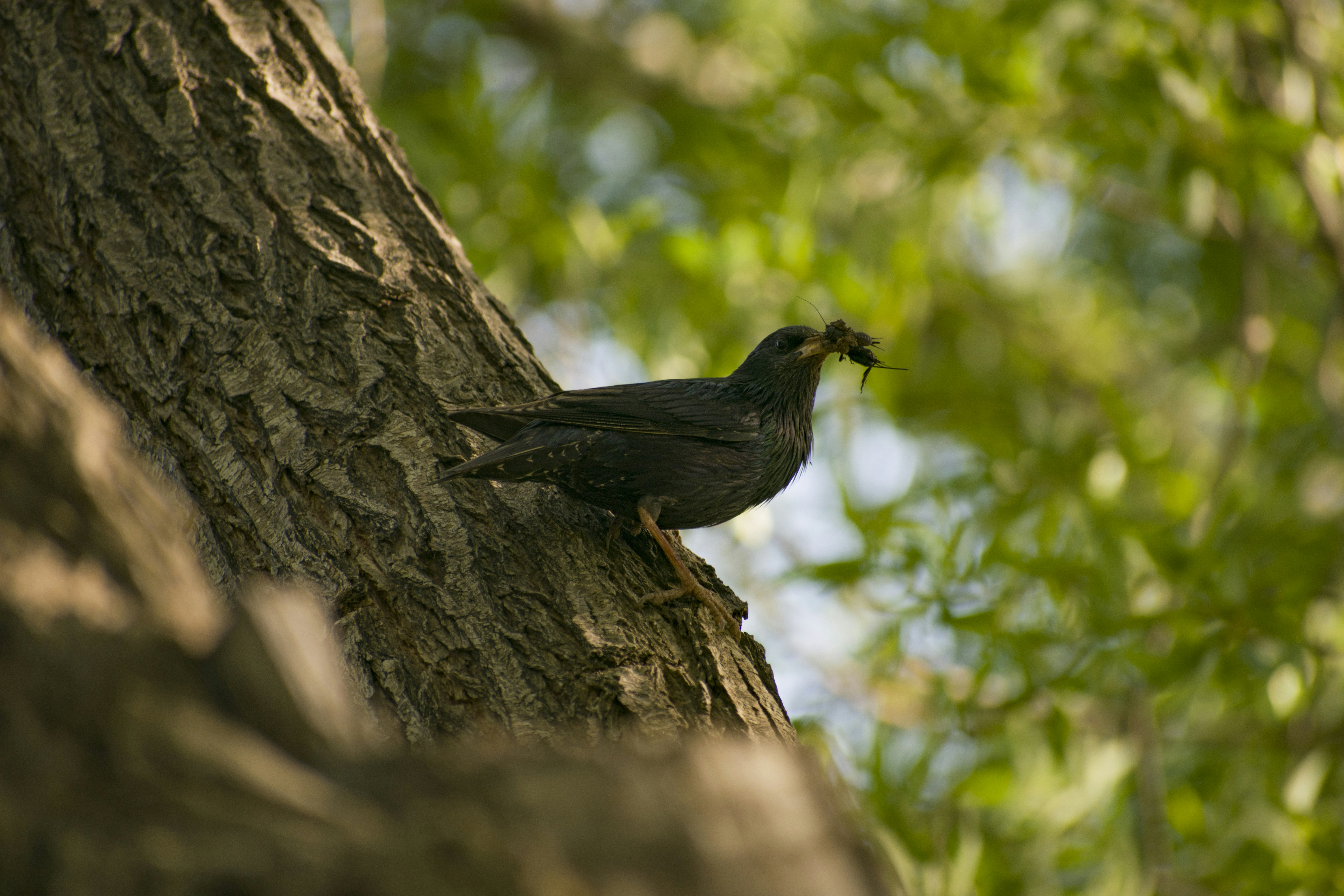 Photo by shirinsaleki