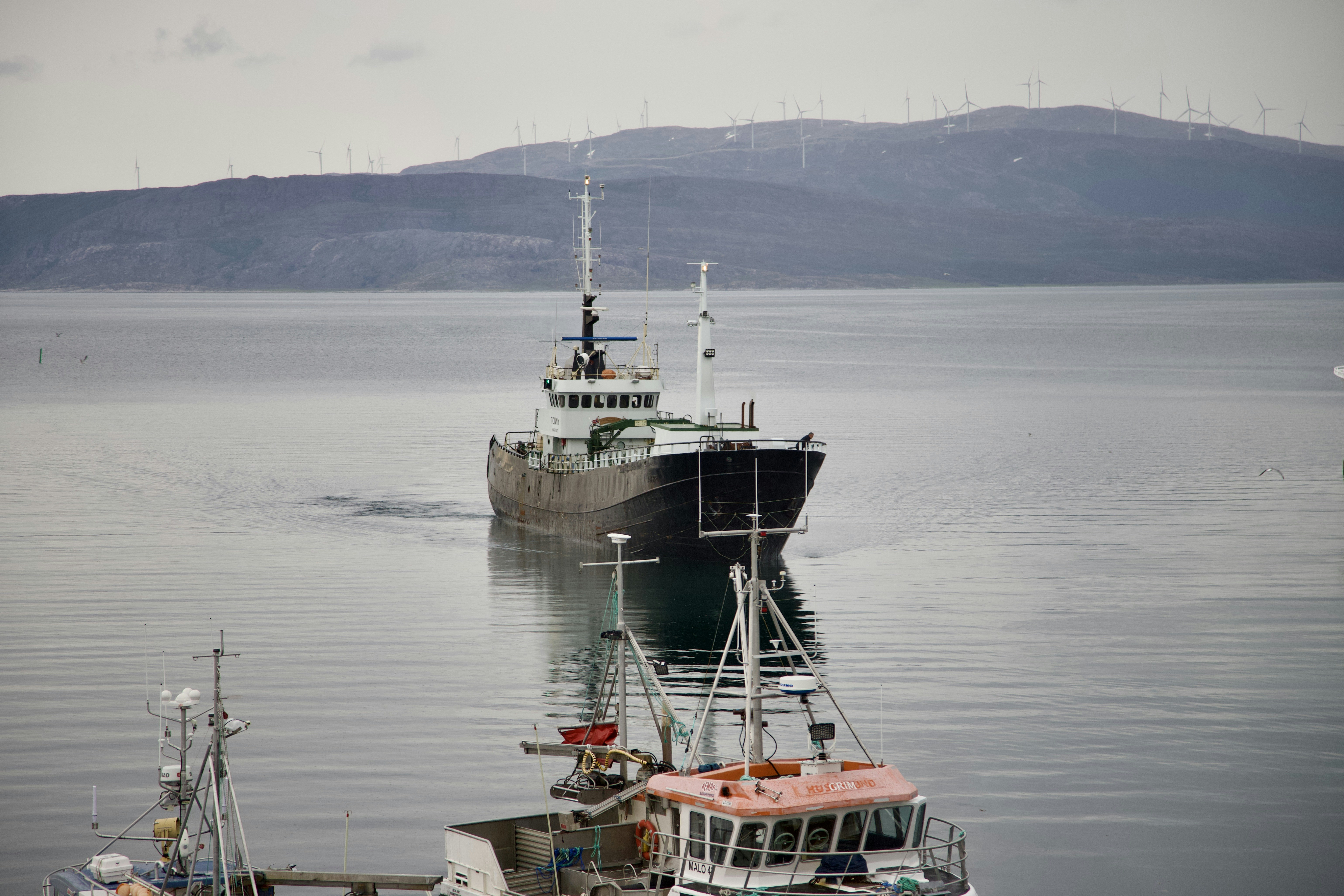 Photo by stockbirken